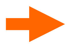 Right Orange Arrow